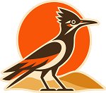 Roadrunner Precision Cut Decal
